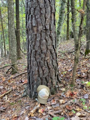 Owner Financed Hunting and Recreational Land in Missouri and Arkansas