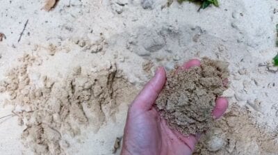 Owner Financed Hunting and Recreational Land in Missouri and Arkansas