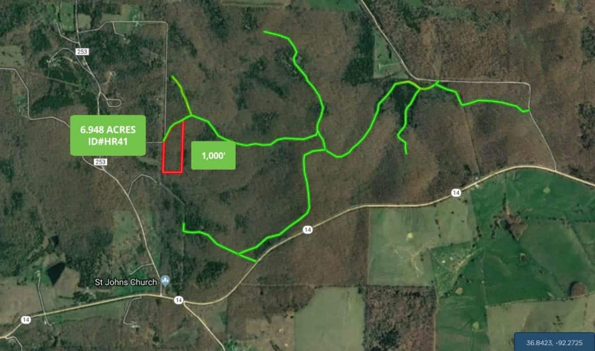 The green lines are the easement roads which you can use to access the property.