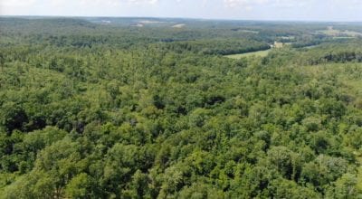 Owner Financed Hunting and Recreational Land in Missouri and Arkansas