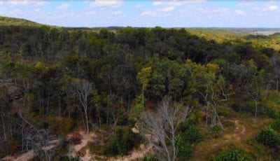 Owner Financed Hunting and Recreational Land in Missouri and Arkansas