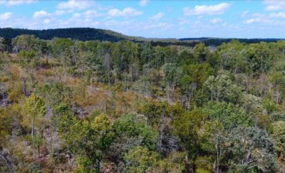 Owner Financed Hunting and Recreational Land in Missouri and Arkansas