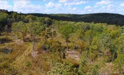 Owner Financed Hunting and Recreational Land in Missouri and Arkansas