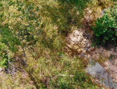 Owner Financed Hunting and Recreational Land in Missouri and Arkansas