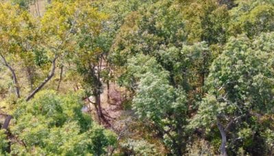 Owner Financed Hunting and Recreational Land in Missouri and Arkansas