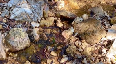 Owner Financed Hunting and Recreational Land in Missouri and Arkansas