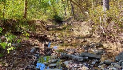 Owner Financed Hunting and Recreational Land in Missouri and Arkansas