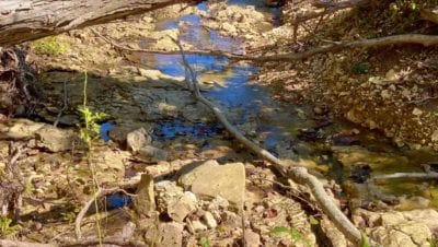Owner Financed Hunting and Recreational Land in Missouri and Arkansas