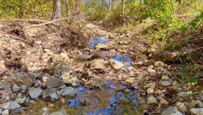 Owner Financed Hunting and Recreational Land in Missouri and Arkansas