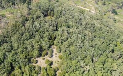Owner Financed Hunting and Recreational Land in Missouri and Arkansas