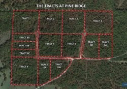Owner Financed Hunting and Recreational Land in Missouri and Arkansas