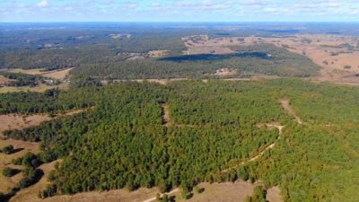 Owner Financed Hunting and Recreational Land in Missouri and Arkansas