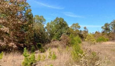 Owner Financed Hunting and Recreational Land in Missouri and Arkansas