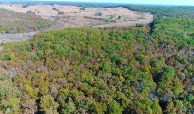 Owner Financed Hunting and Recreational Land in Missouri and Arkansas