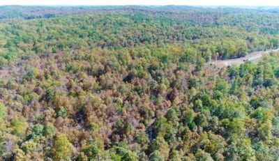 Owner Financed Hunting and Recreational Land in Missouri and Arkansas
