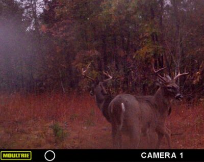 Owner Financed Hunting and Recreational Land in Missouri and Arkansas