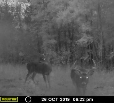 Owner Financed Hunting and Recreational Land in Missouri and Arkansas