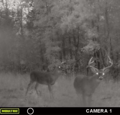 Owner Financed Hunting and Recreational Land in Missouri and Arkansas