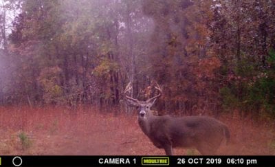 Owner Financed Hunting and Recreational Land in Missouri and Arkansas