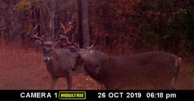 Owner Financed Hunting and Recreational Land in Missouri and Arkansas