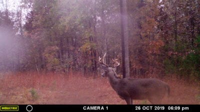 Owner Financed Hunting and Recreational Land in Missouri and Arkansas