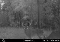 Owner Financed Hunting and Recreational Land in Missouri and Arkansas
