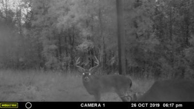 Owner Financed Hunting and Recreational Land in Missouri and Arkansas
