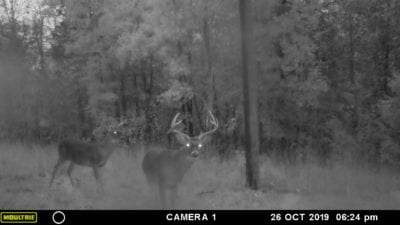 Owner Financed Hunting and Recreational Land in Missouri and Arkansas