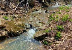 Owner Financed Hunting and Recreational Land in Missouri and Arkansas