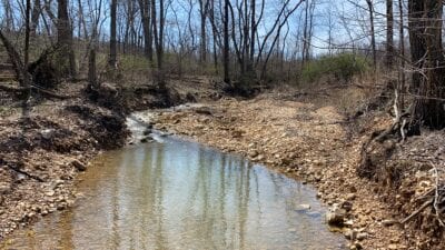 Owner Financed Hunting and Recreational Land in Missouri and Arkansas