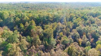 Owner Financed Hunting and Recreational Land in Missouri and Arkansas
