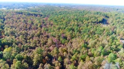 Owner Financed Hunting and Recreational Land in Missouri and Arkansas
