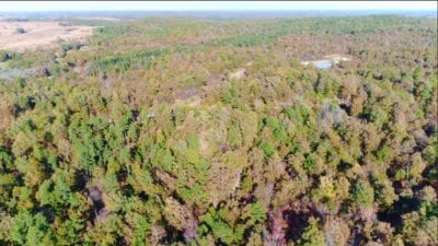 Owner Financed Hunting and Recreational Land in Missouri and Arkansas