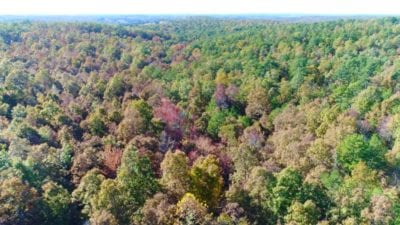 Owner Financed Hunting and Recreational Land in Missouri and Arkansas