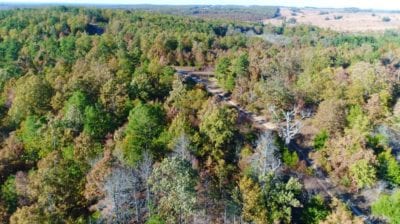 Owner Financed Hunting and Recreational Land in Missouri and Arkansas