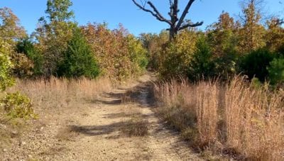 Owner Financed Hunting and Recreational Land in Missouri and Arkansas