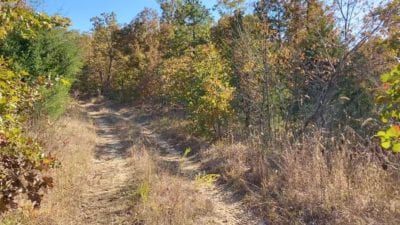 Owner Financed Hunting and Recreational Land in Missouri and Arkansas