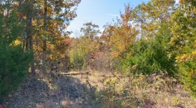 Owner Financed Hunting and Recreational Land in Missouri and Arkansas