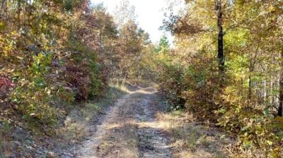 Owner Financed Hunting and Recreational Land in Missouri and Arkansas
