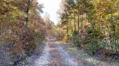 Owner Financed Hunting and Recreational Land in Missouri and Arkansas