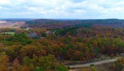 Owner Financed Hunting and Recreational Land in Missouri and Arkansas