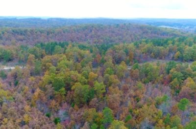 Owner Financed Hunting and Recreational Land in Missouri and Arkansas