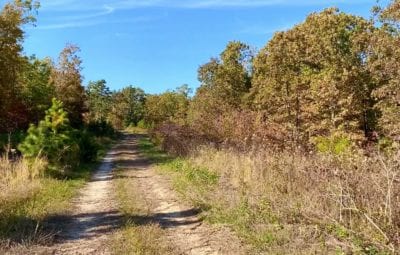 Owner Financed Hunting and Recreational Land in Missouri and Arkansas
