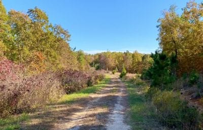Owner Financed Hunting and Recreational Land in Missouri and Arkansas