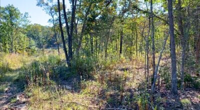 Owner Financed Hunting and Recreational Land in Missouri and Arkansas