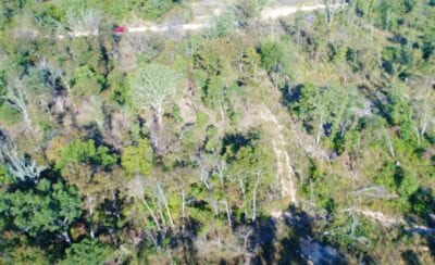 Owner Financed Hunting and Recreational Land in Missouri and Arkansas