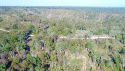 Owner Financed Hunting and Recreational Land in Missouri and Arkansas