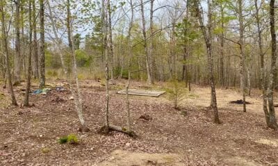 Owner Financed Hunting and Recreational Land in Missouri and Arkansas
