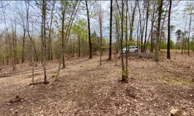 Owner Financed Hunting and Recreational Land in Missouri and Arkansas