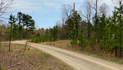 Owner Financed Hunting and Recreational Land in Missouri and Arkansas